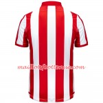 Maillot/Tenue Stoke City Domicile 2019/2020